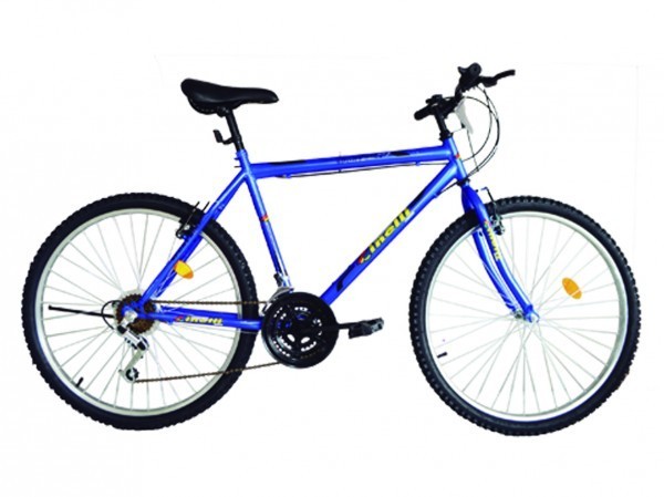 Bicicleta Sport Bike