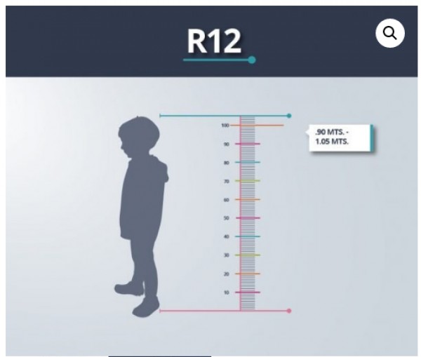 Bicicleta Infantil Titan Dh R-12